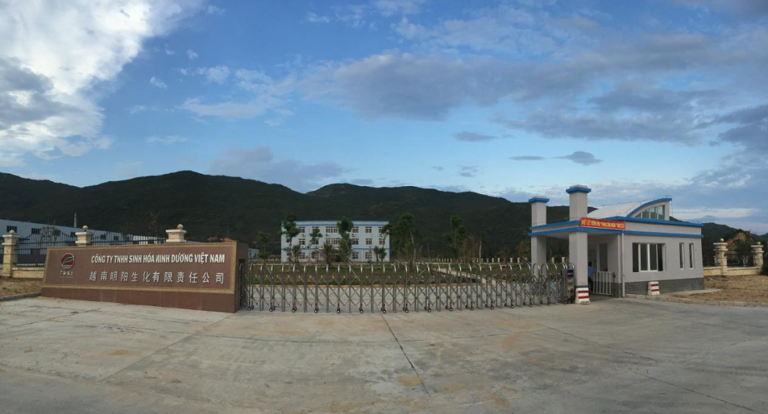 你知道嗎?廣西與越南貿(mào)易的"網(wǎng)紅"產(chǎn)品有哪些