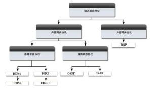 距離向量路由選擇協(xié)議 信息處理與存儲支持服務的關鍵支撐